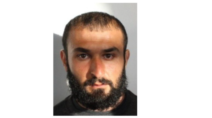 Sexual Predator Hawre Mohamed Jailed: Horley Man Sentenced for Terrifying Train Assault Between Horley and Redhill